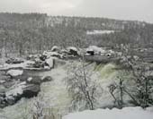 Kolttasaamelaisten luonto