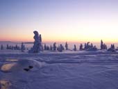 Lappi