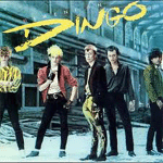 Dingo